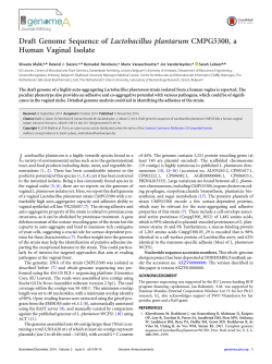 Draft Genome Sequence of Lactobacillus plantarum CMPG5300, a