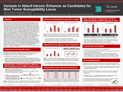 Oct1 and Gata3 Transcription Factors Differentially Bind NIH